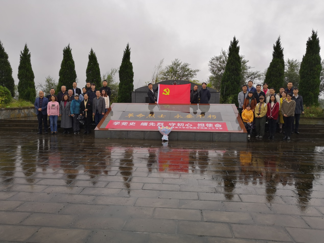 图片1.png